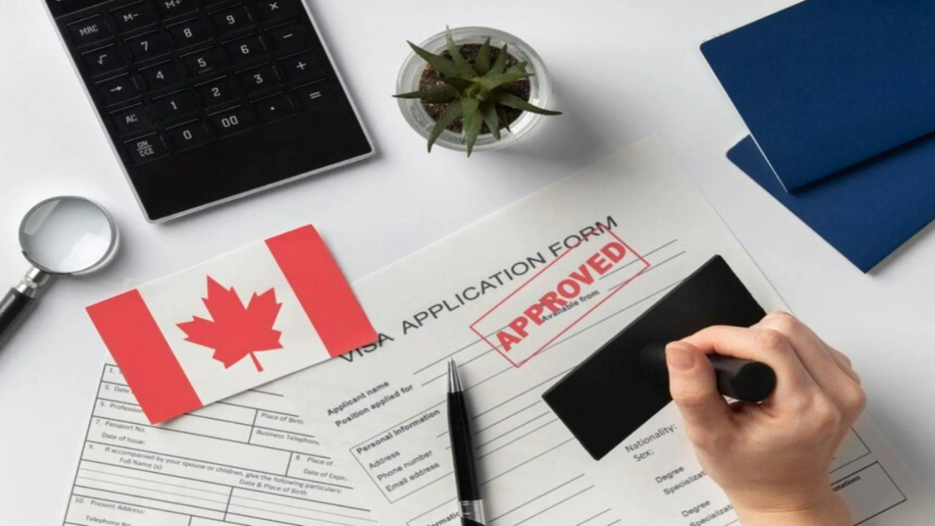31093 financial documents